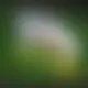 Zagraj Let It Ride z Playtech w {"id":9,"name":"Slottica","design":{"logo":"slottica-logo.EetI2r.svg","favicon":"slottica-favicon.7FwPxv.png","banner_poker":"slottica-poker.bVNx2W.webp","banner_mobile":"slottica-mobile.Zk2xAC.webp","block_bg_color":"#a1a1aa","image_bg_color":"#71717a","banner_bg_color":"#1B1C29","primary_bg_color":"#e4e4e7","banner_text_color":"#fff","footer_logos_type":"black","block_round_radius":"0.75rem","primary_text_color":"#18181b","button_round_radius":"9999px","banner_welcome_bonus":"slottica-welcome-bonus.bztgZr.webp","primary_button_bg_color":"#1145Fa","primary_button_text_color":"#f4f4f5","secondary_button_bg_color":"#3EC72A","secondary_button_text_color":"#09090b"},"created_at":"2025-05-14T09:25:22.000000Z","updated_at":"2025-05-14T09:25:22.000000Z","deleted_at":null}